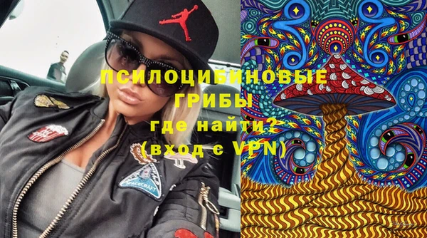 индика Навашино